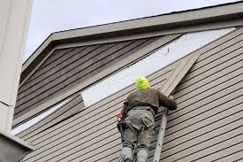 Best Siding Painting and Refinishing  in Watts Mills, SC